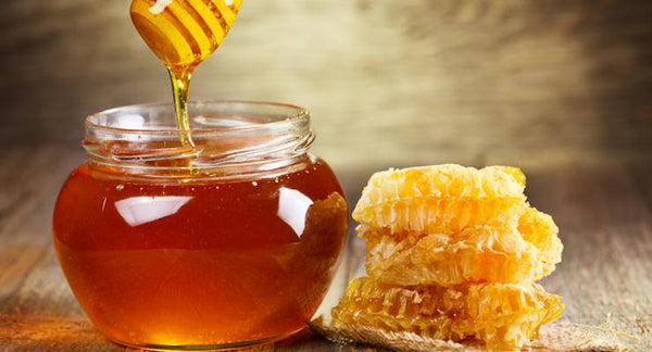 Honey - straight from the honeycomb