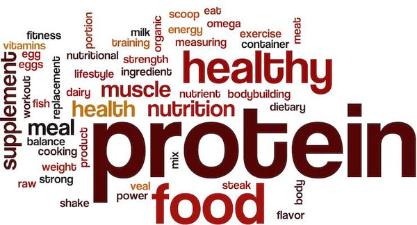 Are You Really Getting Enough Protein? | Mr Vitamins