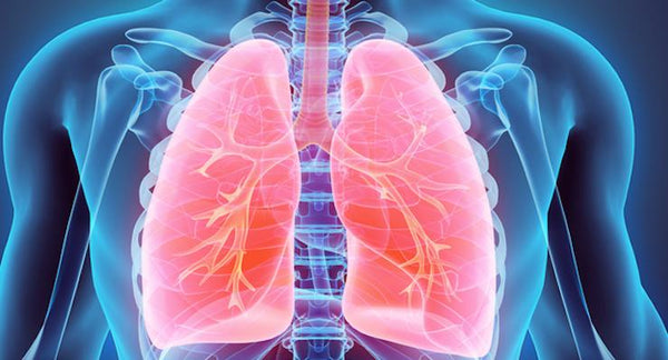 Boosting lung and immune health for the cold and flu season | Mr Vitamins