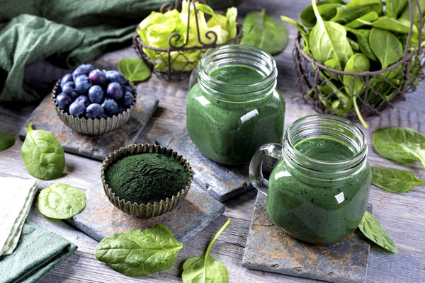 Spirulina: A Super Food For Our Modern World