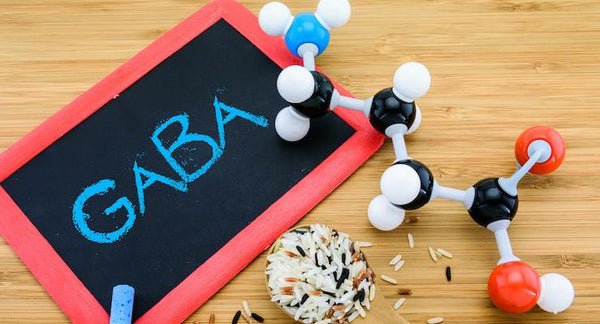 GABA - your internal stress buster