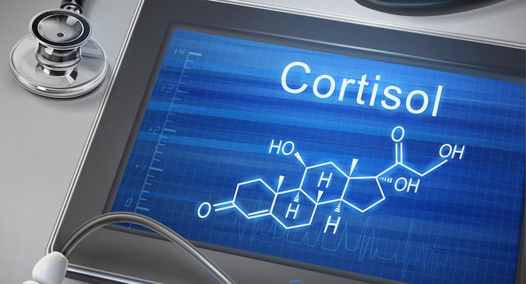 Is stress making you fat? You need to check your Cortisol
