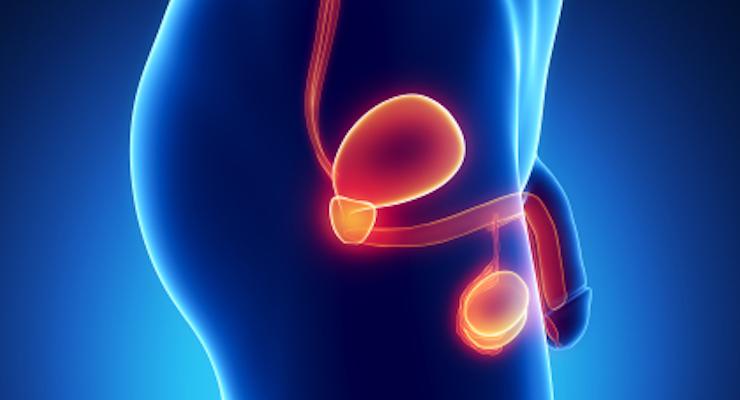 Can a high fibre diet benefit your prostate?