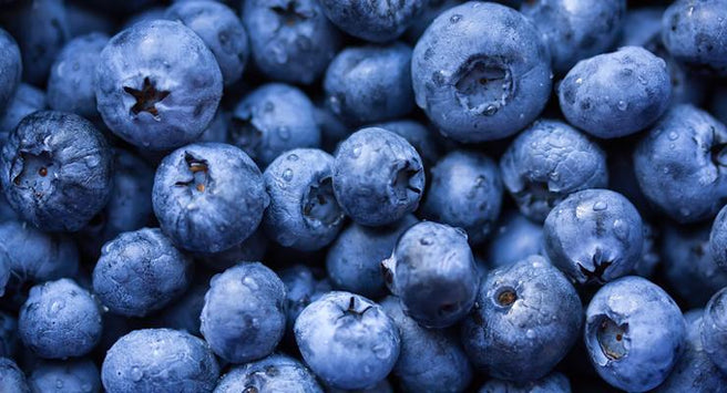 How Bilberry and its 'Friends' care for your eyes