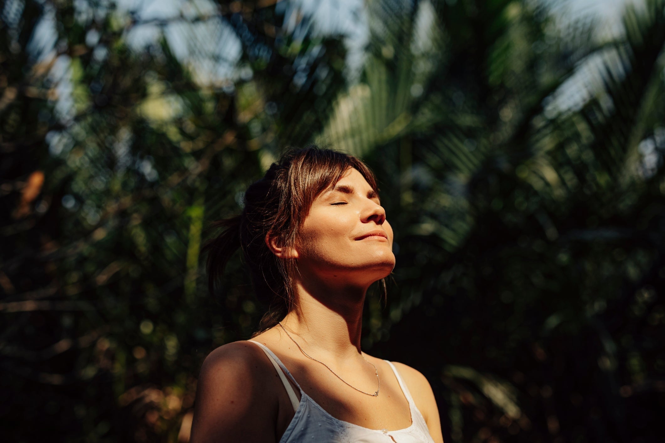 Christmas Stress: Find Your Calm, Support Rest & Stress Recovery