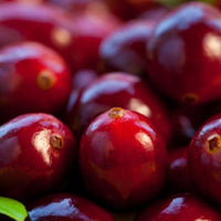 Cranberry for urinary tract health – how much is enough?