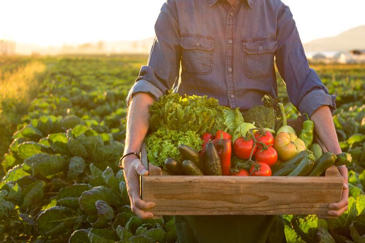 Is Organic Food Worth A Higher Price? Organic Food Week