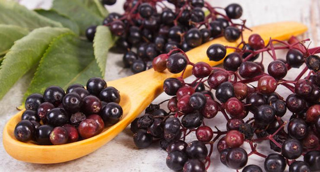 Get 'berry' healthy with immune-strengthening Elderberries