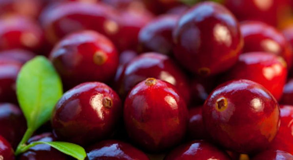 How can Cranberries help prevent urinary tract infections?