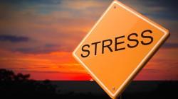 Are you feeling stressed right now? Honestly?