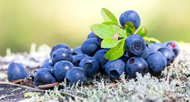 Eye health supplements - why Bilberry alone isn't always enough