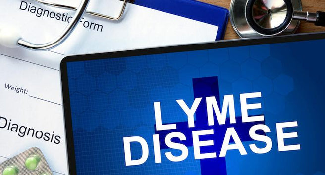 Lyme Disease in Australia: Time to be recognised