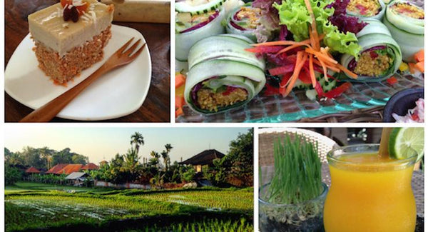 Discovering the delights of raw foods in Bali | Mr Vitamins