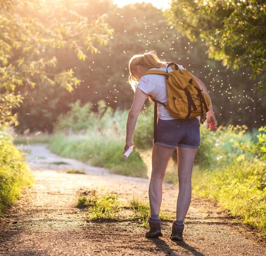 Don't let Insect Bites take the Fun out of your Summer