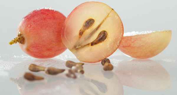 Drink to your health - with Grapeseed | Mr Vitamins