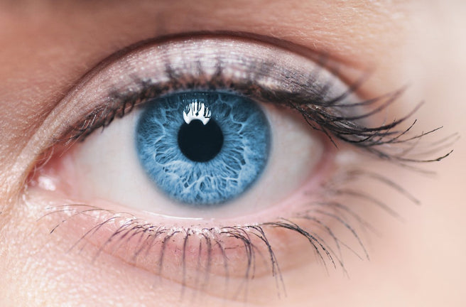 Iridology: What’s in the colour of your eyes?