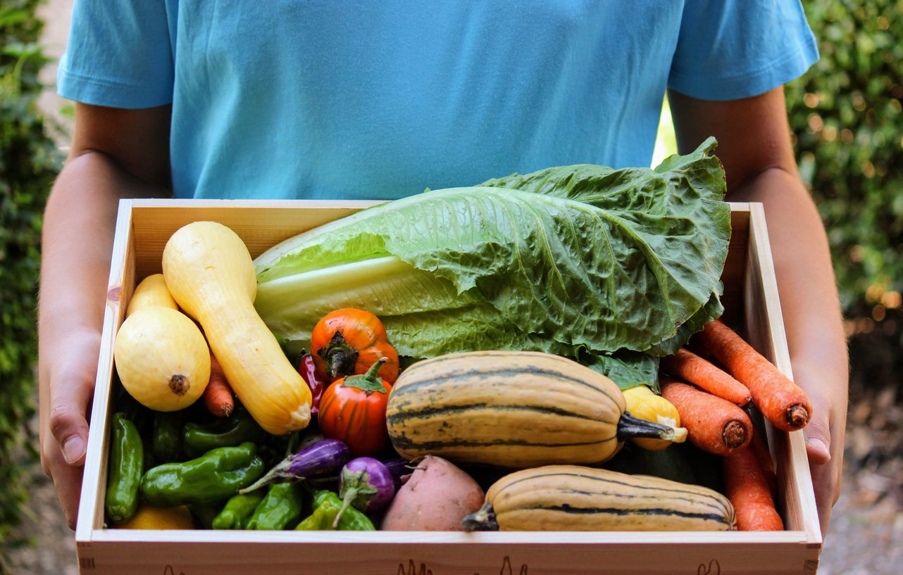 August Fresh – Is your food good enough to eat?