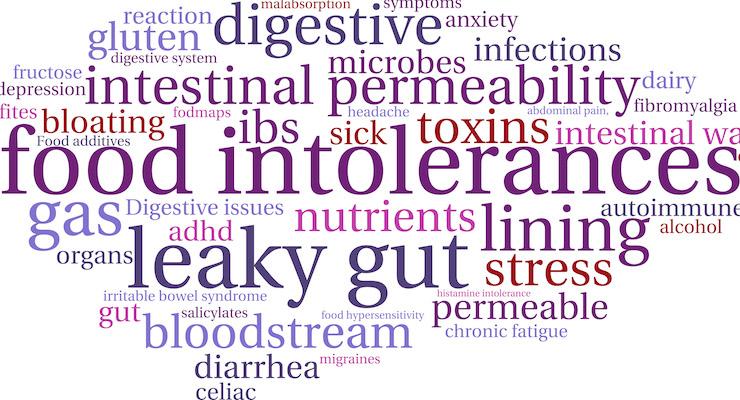 Could your leaky gut be causing a leaky brain?