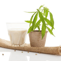 Hemp Milk Recipe