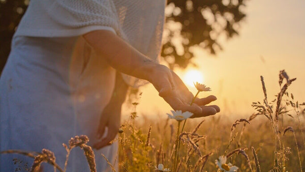 How to Build Inner Calm: An Evidence Based Guide | Mr Vitamins