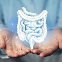 How to Support Your Gut for Better Health & Longevity