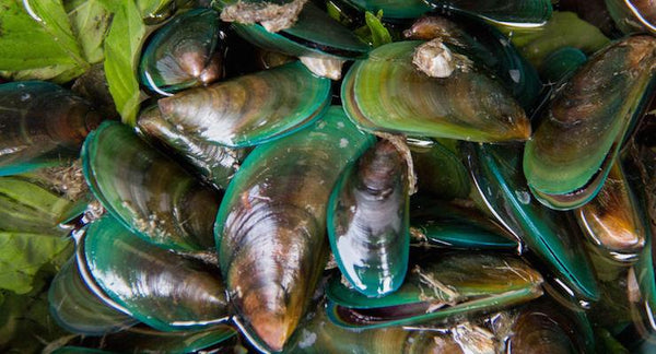 Important keys to Arthritis prevention | Mr Vitamins