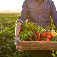 Is Organic Food Worth A Higher Price? Organic Food Week