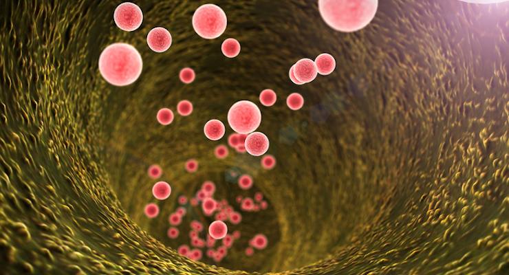 Is your Gut Microbiome changing how your mind works?