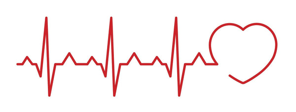 Leaky gut and Cardiovascular disease | Mr Vitamins