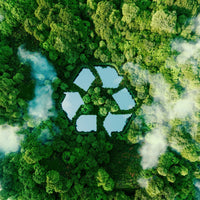 Make Sustainable Choices for a Healthier Planet this Earth Day