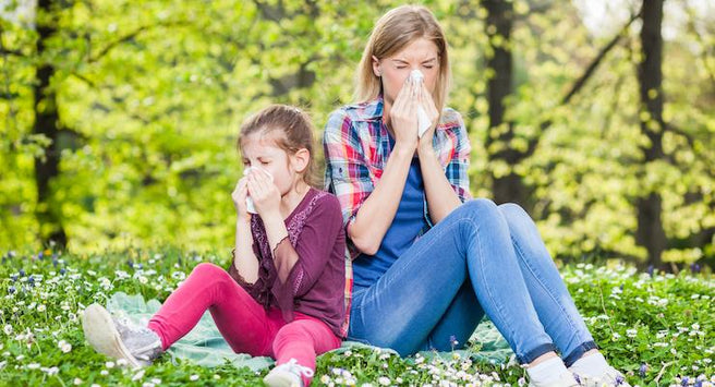Natural help for hayfever sufferers | Mr Vitamins