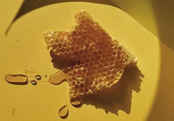 Royal Jelly: The Supreme Superfood | Mr Vitamins