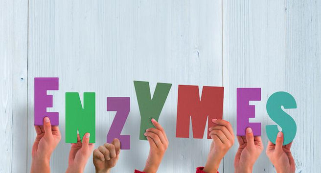 Supercharge your Digestion with Digestive Enzymes | Mr Vitamins
