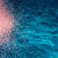 The anti-ageing benefits of Krill Oil