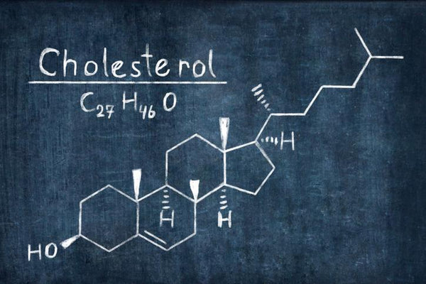 There’s Good News About Cholesterol | Mr Vitamins