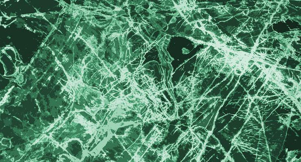 What is a Biofilm and how can it affect your health? | Mr Vitamins