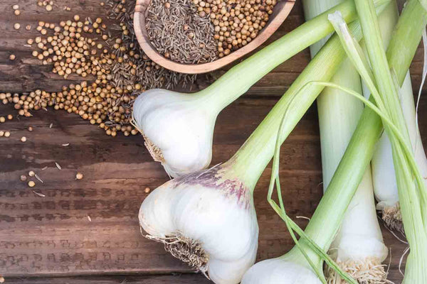 What is healthy immunity and why is it important? | Mr Vitamins