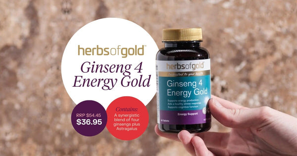 Your Secret to All-Day Energy! | Mr Vitamins