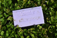 Cloverfields Australian Lavender Soap | Mr Vitamins