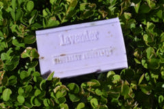 Cloverfields Australian Lavender Soap