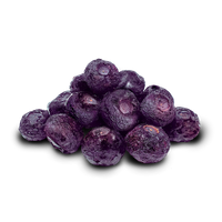 DJandA Freeze Dried Blueberries