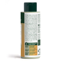 Herbatint Repair Shampoo