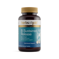 Herbs Of Gold B Complete Sustained Release | Mr Vitamins