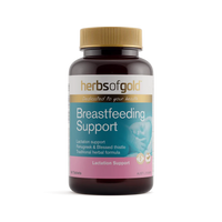 Herbs Of Gold Breastfeeding Support | Mr Vitamins