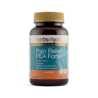 Herbs Of Gold Pain Relief PEA | Mr Vitamins