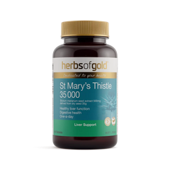 Herbs Of Gold St Marys Thistle 35000