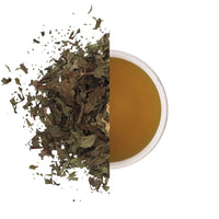 KINTRA BLENDS Herbal Tea Bags Peppermint 25pk