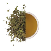 KINTRA BLENDS Herbal Tea Bags Spearmint 25pk