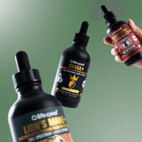 Life Cykel Chaga Double Extract | Mr Vitamins