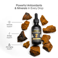 Life Cykel Chaga Double Extract | Mr Vitamins